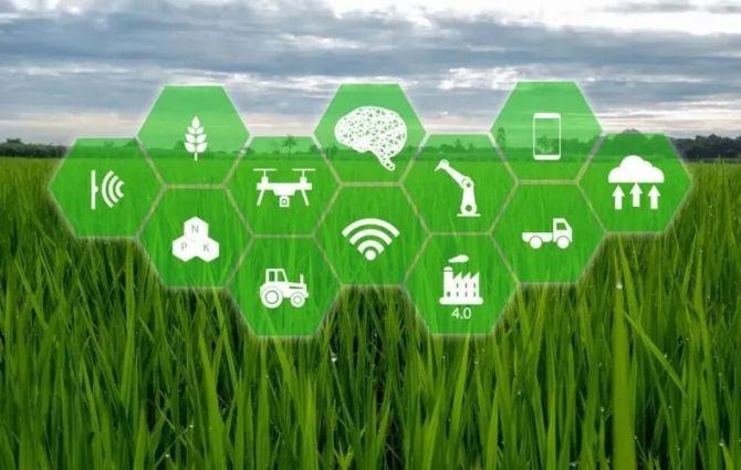 农业科技数字化转型如何促进农民农村共同富裕