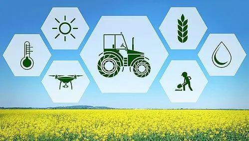 智慧农业|数字化四条路径补农业三大短板|农产品品牌|产业链|乡村