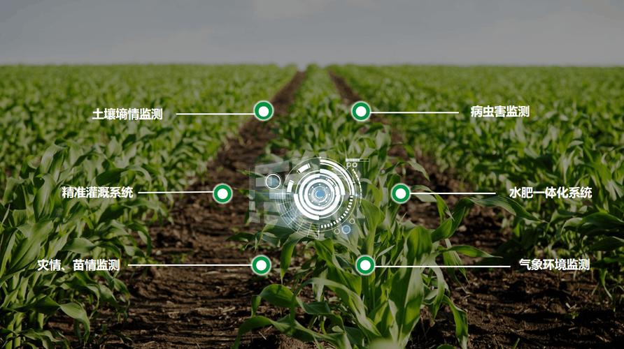 四川成都高标准农田农业物联网智慧农业数字化决策平台